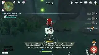 Genshin Impact Particles Collected