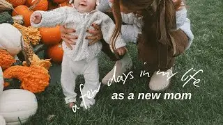 A FEW FALL DAYS IN MY LIFE: thrift haul & pumpkin patch