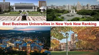 BEST BUSINESS UNIVERSITIES IN NEW YORK NEW RANKING