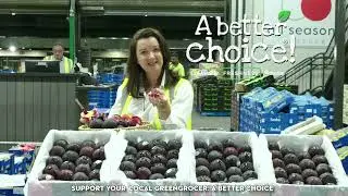 What's In Season - Plums