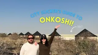 Guide to Onkoshi Camp in Namibia | Etosha Travel Guide