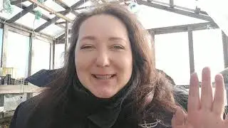 Семена овощей на 2020 г.