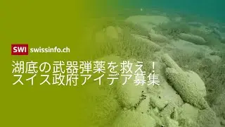 湖底の武器弾薬を安全に回収せよ！スイス政府がアイデアコンテストで賞金850万円を提供