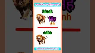जानवरों के नाम ओड़िया भासा में || ओड़िया भाषा || odia language || odia hindi sikhya ||