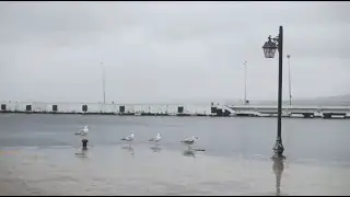 Yerliyse Değerli | Sinop