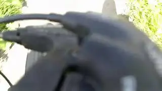 едем в магазин