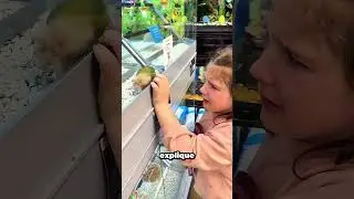 Elle croyait avoir trouvé son oiseau, jusqu'à ce que...