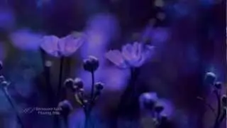 BERNWARD KOCH - Flowing Blue (Relaxing, soothing music)