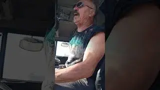 Конь то, не настоящий