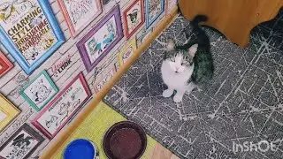 Иду на новоселье/шампанское из чашек 👍