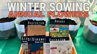 March Winter Sowing: Annual Flowers, plus update on February sowing
