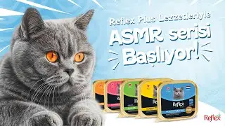 Reflex Plus Lezzetleriyle ASMR Serisi Başlıyor!