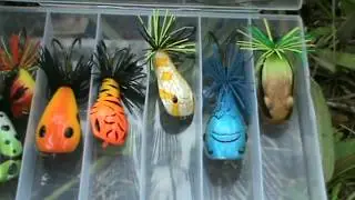 Casting Gabus Top Water Mimix Naga Jump 50 - Test Lure - CnR