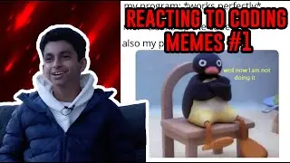 Programmer reacts to Coding Memes #1