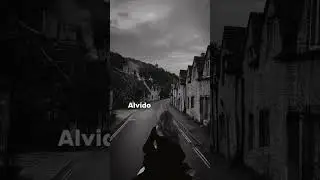 Alvido koʻzlari qoram🖤  #ummon #alvido #xit #shortsvideo #shorts #tiktok #youtube #dildagi_qoshiqlar