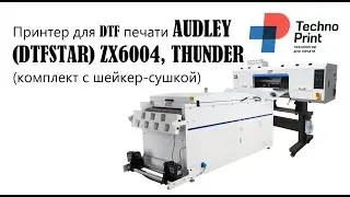 Принтер для DTF печати AUDLEY (DTFSTAR) ZX6004, THUNDER (комплект с шейкер-сушкой)