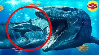ระทึก! ไขคดีปริศนา Great White Shark ใครคือฆาตกรตัวจริง (เหลือเชื่อ)