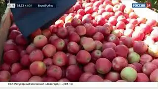 Репортаж 11.12.20 Россия 24