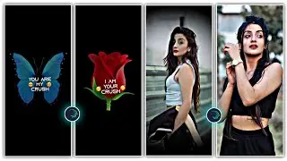 You Are My Crush i'm Your Crush Status Editing Alight Motion🔥New Lyrics Video Editing Alight Motion