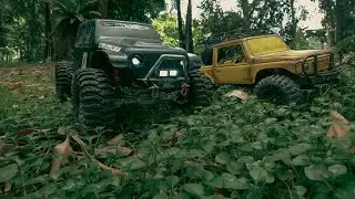 RC Adventure offroad trailing
