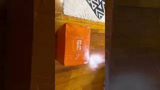 ￼” Exciting discoveries in my very first TEMU HAUL”