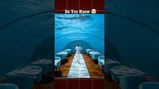 Nagashi Somen Noodles In Japan 🤔 #shorts #facts #fact #youtubeshorts #shortvideo