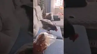одамлар нималар ни ойлсб топишмиди