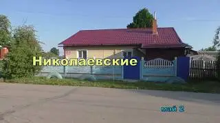 Голуби Николая. +79109178256. Сухиничи.