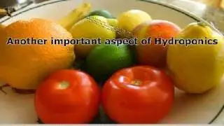 Hydroponics Gardening