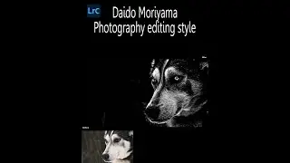 Lightroom 2022 | Daido Moriyama photography editing style