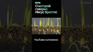тайна Иисуса Христа #телеграм #салтаненко