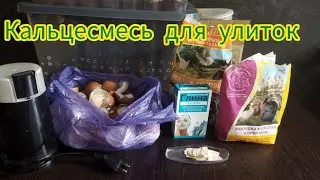 Кальцесмесь для улиток #моилюбимки #улиткиахатины #твимз #улики #кальцесмесьдляулиток
