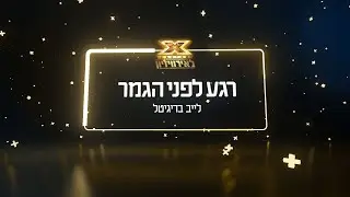 "רגע לפני הגמר - לייב דיגיטל": משדר מקדים עם כל מה שצריך לדעת לקראת גמר "אקס פקטור לאירוויזיון"