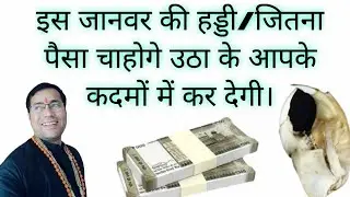 इस हड्डी से आप जो चाहोगे मिलेगा।बिना किसी तंत्र मंत्र साधना के मिलेगा धन वैभव सम्मान।
