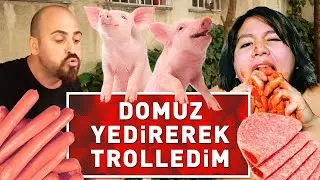 DOMUZ YEDİREREK TROLLEDİM !