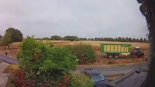 Maisernte - Corn harvest