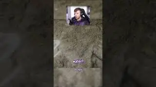 Survival 101 but not really