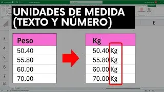 Incluir UNIDADES de MEDIDA en Excel (Formato Número)