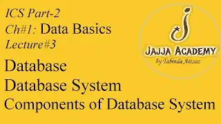 Database| Database System| Database Components| ICS Computer Part 2