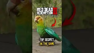 Secrets In RDR2 #shorts #rdr2