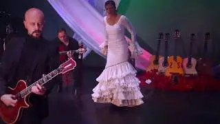 Pedro Andrea - Electric Guitar Flamenco (A JUANMITA)