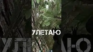 Скоро Я Взлетаю. STALKER 
