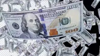 Money Rain Free Template 01 - Adobe After Effects