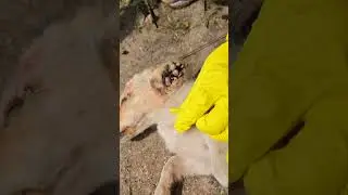 Спасение