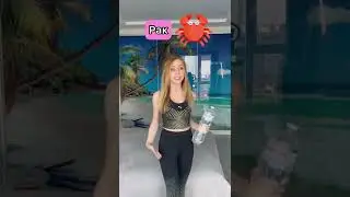 Что едят разные Знаки зодиака