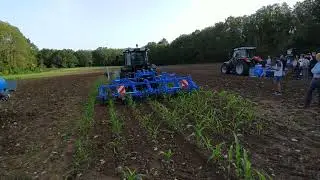 Sorközművelés a LEMKEN EC Weeder technológiájával, kukoricában