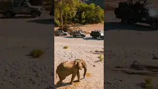 URLAUB - aber wo? Was macht Namibia im Vergleich zu anderen Reiseländern so besonderst? 👉 Caption
