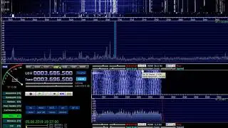 В чём проблема? Антенна? Диполь? Местная помеха? HDSDR программа? SDR приёмник?..