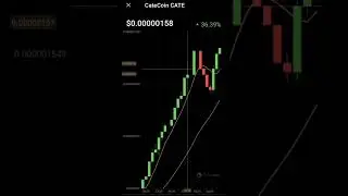 Cate coin price increased | catecoin crypto 