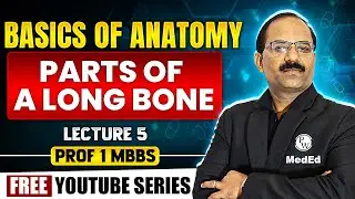 Parts of a Long Bone | Basics of Anatomy | Dr. Pradeep Pawar